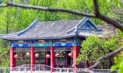 橘郡国际学校(北京校区)