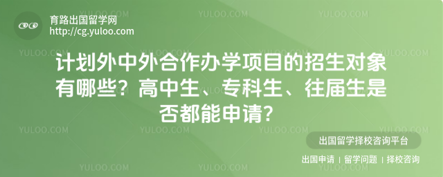 计划外中外合作办学招生对象