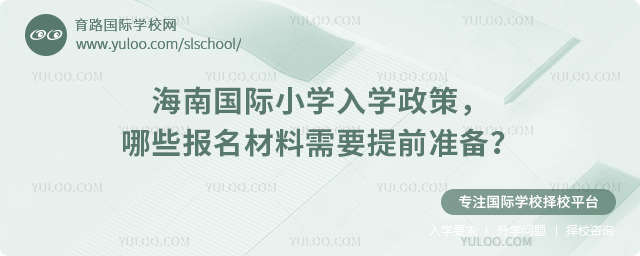 2026年海南国际小学入学政策