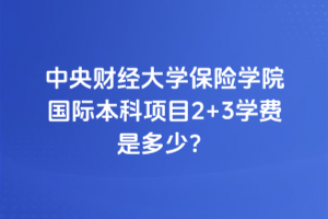 中央财经大学保险学院国际本科项目2+3学费是多少？