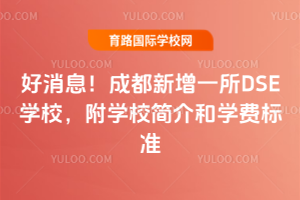 ϢɶһDSEѧУѧУѧѱ׼