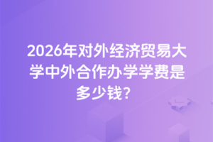 2026年对外经济贸易大学中外合作办学学费是多少钱？