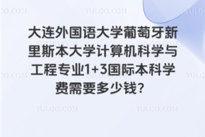 大连外国语大学葡萄牙新里斯本大学计算机科学与工程专业1+3国际本科学费需要多少钱？