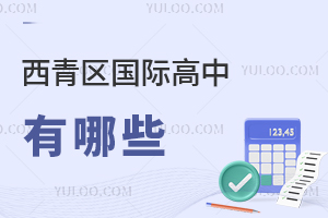 西青区国际高中有哪些