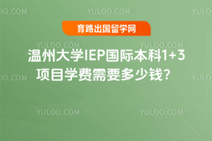 温州大学IEP国际本科1+3项目学费需要多少钱?