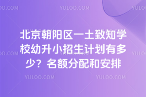 北京朝阳区一土致知学校幼升小招生计划有多少？名额分配和安排
