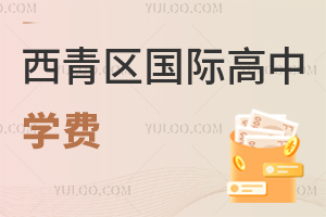 西青区国际高中学费