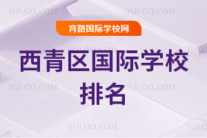 西青区国际学校排名