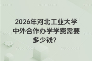 2026年河北工业大学中外合作办学学费需要多少钱？