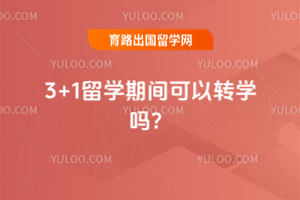 3+1ѧڼתѧ