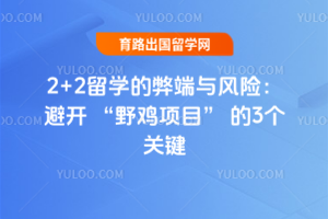 2+2ѧı׶գܿ ҰĿ 3ؼ