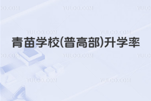 青苗学校(普高部)升学率