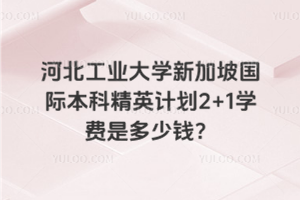 河北工业大学新加坡国际本科精英计划2+1学费是多少钱？