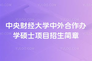 中央财经大学中外合作办学硕士项目招生简章，周末班不耽误工作！职场人提升必看！