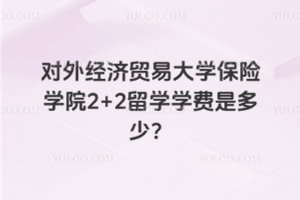 对外经济贸易大学保险学院2+2留学学费是多少？