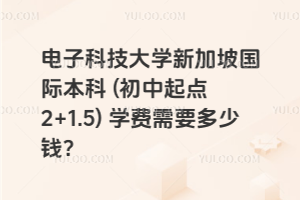 电子科技大学新加坡国际本科 (初中起点 2+1.5) 学费需要多少钱？