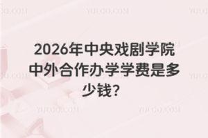 2026年中央戏剧学院中外合作办学学费是多少钱？