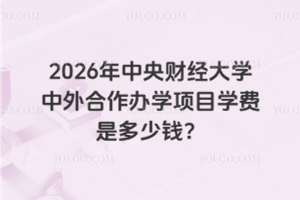 2026年中央财经大学中外合作办学项目学费是多少钱？