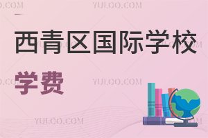 西青区国际学校学费