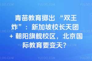 ˫ը¼У+콢УʽҪ죿