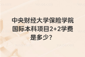 中央财经大学保险学院国际本科项目2+2学费是多少？