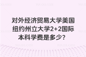 对外经济贸易大学美国纽约州立大学2+2国际本科学费是多少？