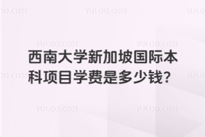 西南大学新加坡国际本科项目学费是多少钱？