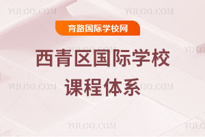 西青区国际学校课程体系