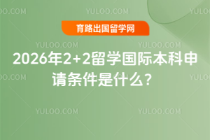 2026��2+2��ѧ���ʱ�������������ʲô��