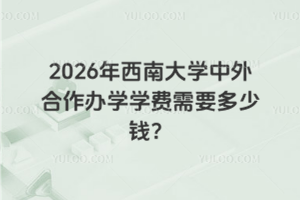 2026年西南大学中外合作办学学费需要多少钱？