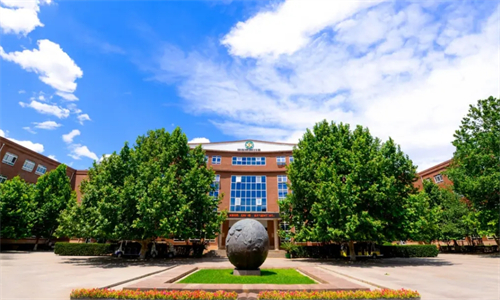 北京市海淀外国语腾飞学校