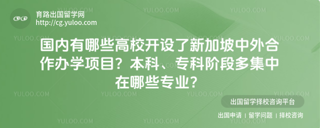 新加坡中外合作办学