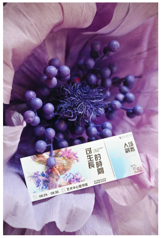 英领艺术中心开放日