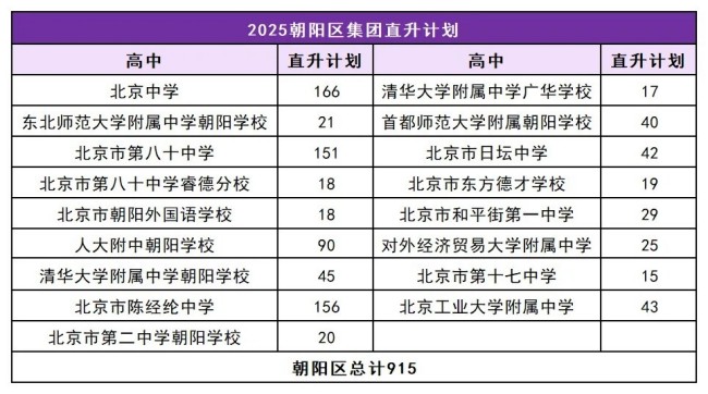 人大附0.5+3项目