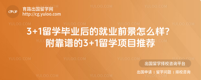 3+1留学就业前景
