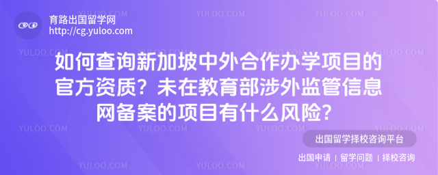 新加坡中外合作办学资质