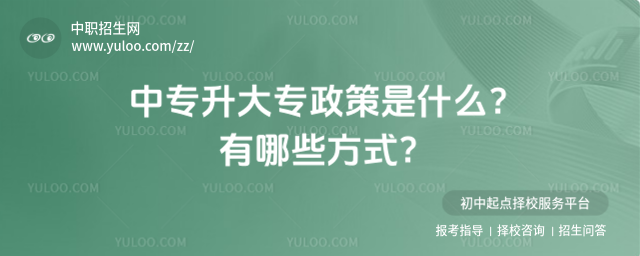 ��ר����ר������ʲô