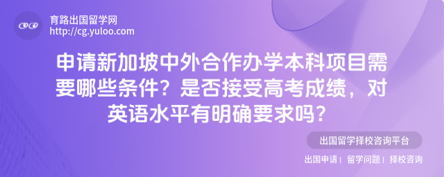 新加坡中外合作办学申请条件
