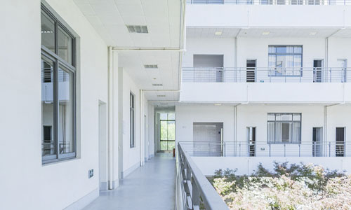 �������ְҵѧԺ