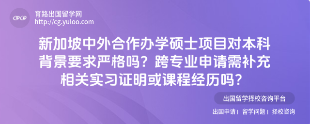 新加坡中外合作办学