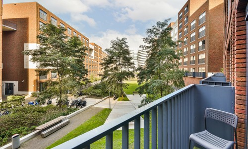 ���ͨ�I�WԺ