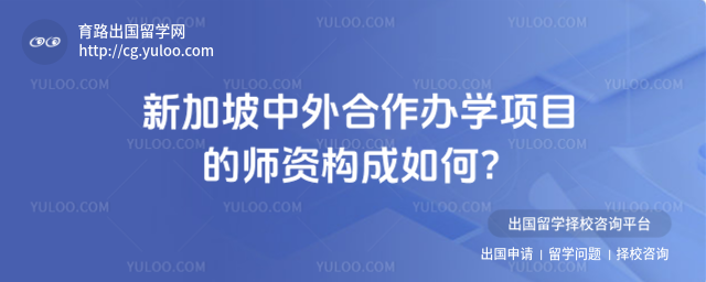 新加坡中外合作办学师资构成