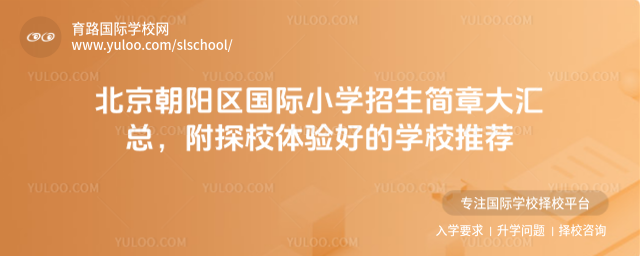 北京朝阳区国际小学招生简章大汇总,附探校体验好的学校推荐