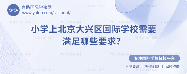 小学上北京大兴区国际学校的要求