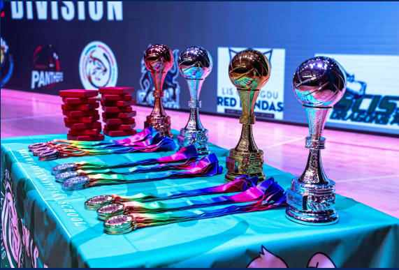 ΰACAMISŮ˫ڣŮʵڣ