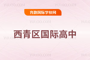 西青区国际高中