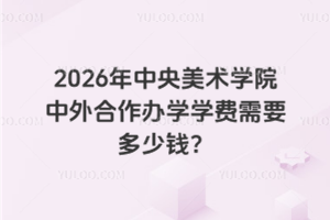 2026年中央美术学院中外合作办学学费需要多少钱？