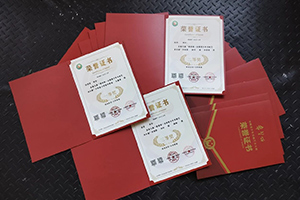 张家口未来学校学子在国家级书画大展中斩获多项大奖!