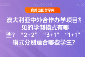 ĴѧĿѧģʽЩ2+23+11+1 ģʽֱʺЩѧ