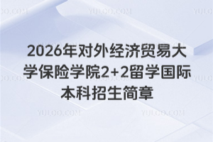 2026年对外经济贸易大学保险学院2+2留学国际本科招生简章
